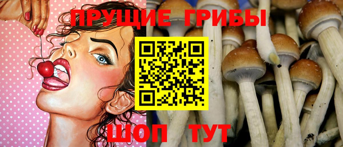 Галлюциногенные грибы прущие грибы Карабулак